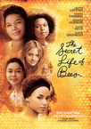 A méhek titkos élete (2008)