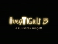 Üvegtigris 3 – A kulisszák mögött (2010)