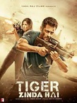 Tiger zinda hai (2017)