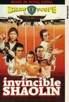A legyőzhetetlen Shaolin (1978)