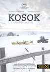 Kosok (2015)