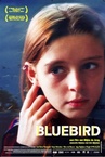 Bluebird (2004)