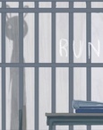 Run (2016)