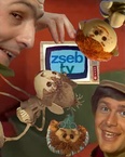 Zsebtévé / Zseb TV (1965–1979)
