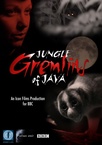 Jungle Gremlins of Java (2012)