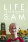 Sam szerint az élet (2013)