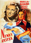 Nemes Rózsa (1943)