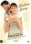 Késő bosszú (2002)