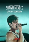 Shawn Mendes koncertturnéja (2020)