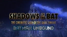 A denevér árnyékában: A sötét lovag a mozivásznon 6. rész – Batman kendőzetlenül (2005)