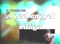A vad angyal világa (2001–2001)