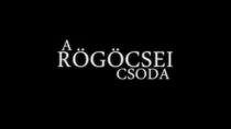 A rögöcsei csoda (2014)