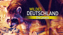 Németország vadvidéke – A Lausitz régió (2013)