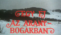 Egy éj az Arany Bogárban (1971)