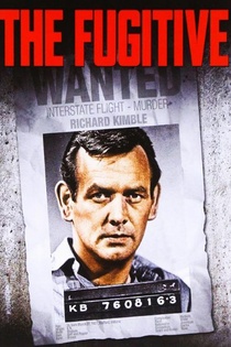 The Fugitive (1963–1967)