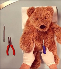 Teddy Has an Operation (2016)