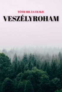 Veszélyroham (2021)