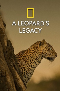Egy leopárd portréja (2020)