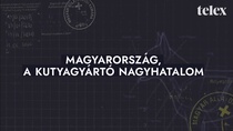 Magyarország, a kutyagyártó nagyhatalom (2022)