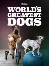 World's greatest dogs (2016)