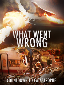 What Went Wrong: Countdown to Catastrophe (2019–)