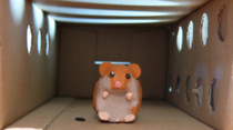 Hamster Hell (2012)