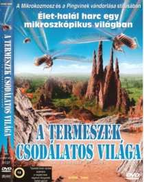 A termeszek csodálatos világa (2006)