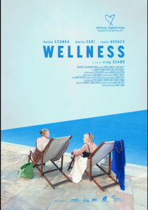 Wellness (2016)
