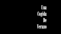 Una cogida de verano (2005)