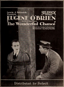 The Wonderful Chance (1920)