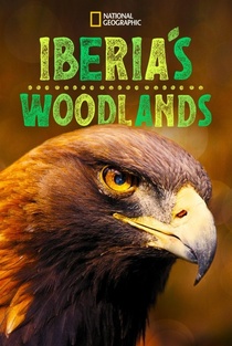 Ibéria erdeiben (2021–2021)