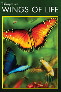 Wings of Life (2011)