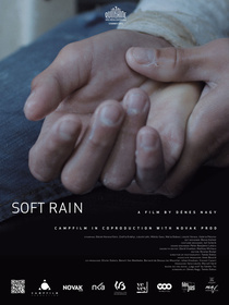 Lágy eső (2013)