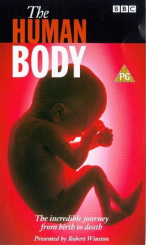 Az emberi test (1998–1998)