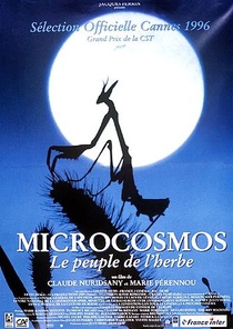 Mikrokozmosz (1996)