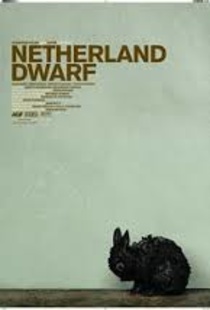 Netherland Dwarf (2008)