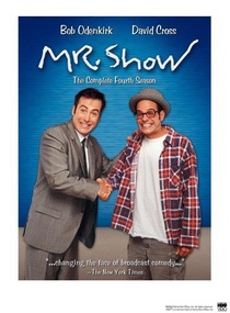 Mr. Show with Bob and David (1995–1998)