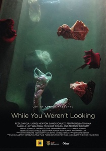 While You Weren't Looking (2015)