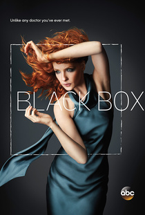 Black Box (2014–2014)