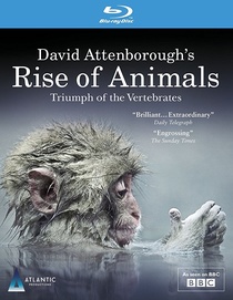 Az állatvilág története David Attenborough-val (2013–2013)