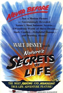 Az élet titka (1956)