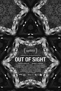 Out of Sight (2014)