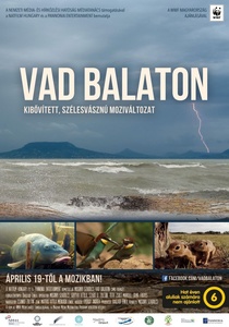 Vad Balaton (2018)