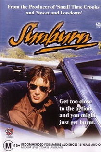 Sunburn (1999)