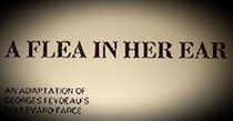 A Flea in Her Ear (1990)