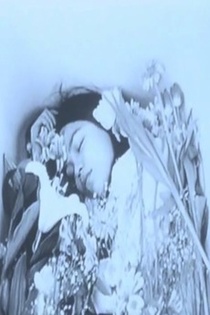 Shizuka na ichinichi (2003)