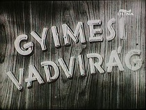 Gyimesi vadvirág (1938)