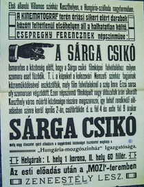 Sárga csikó (1936)