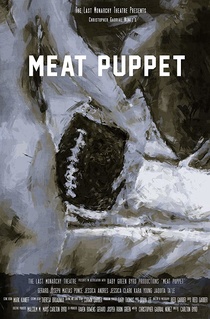 Meat Puppet: The Filmed Experience (2017)
