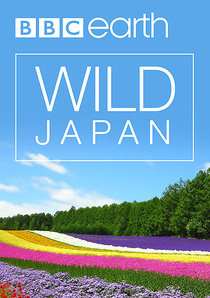Vad vidékek – Japán / Japán vadvilága (2015–2015)